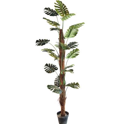 China Eco-friendly Materials 160cm New Materials 160cm Potted Plant Palm Fiber Green Plastic Trunks Leaf Fake Trees for sale