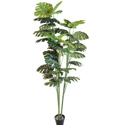 China Eco-friendly Materials 6Ft 7Ft 200Cm Indoor Floor Fake Monstera Decorative Plastic Artificial Plants And Trees for sale