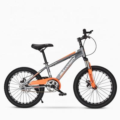 China Fashion popular kids bike 13 years old kids bike 18inch bike 8-16 years old kids bike bicycle for sale