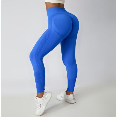 China New Arrival Breathable Women's Seamless Knitted Fitness Yoga Pants Workout Tights Gym Gaiters High Waist Breathable Yoga Leggings for sale