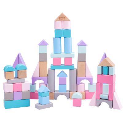 China Develop Intelligence 28-75pcs Multicolor Baby Geometric Shapes Kids Learning Educational Wooden Brick Building Blocks Sets Toy For Kids for sale