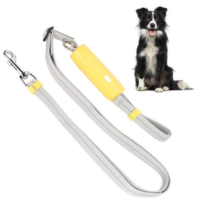 China Wholesale Sustainable Thoughtful Long Slip Lead Dog Chain Leash for sale