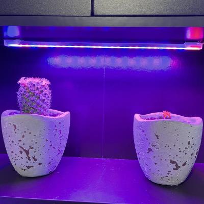 China Seed Starting LED To Grow Light With Timer Strip Grow Lamp Bar 4 Levels Dimmable Brightness For Indoor Tent Greenhouse Gardening Hydroponics for sale