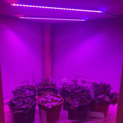 China Seed Starting LED Grow Lights For Indoor Plants Cabinet Grow Light Red Blue Strips 168leds Spectrum Plant Lamp With Auto On/Off Timer for sale