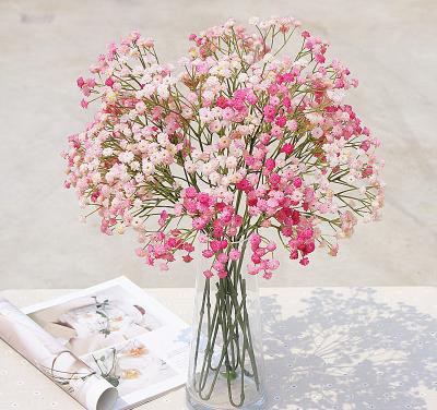 China Beautiful And Colorful Real Flower Wedding Supply DIY Artificial Touch Flower Babysbreath Wholesale For Home Decoration for sale