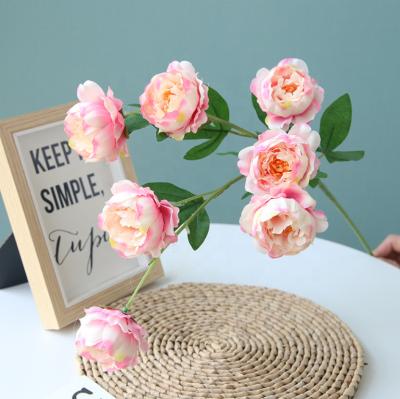 China Beautiful and Colorful 7 Heads Fake Flower Peony Artificial Flower in Wedding Flower Arrangement Artificial Home Decoration for sale