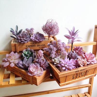 China Waterproof Artificial Succulent Plants Faux Matching Unpotted Succulent Plant For Layout Home for sale