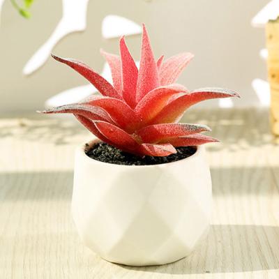 China 2020 Realistic Mini Succulent White Ceramic Pot Wholesale Cheap Artificial Succulent Plants for sale