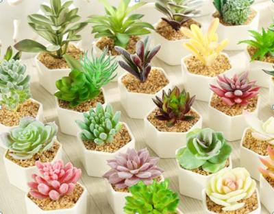 China Hot Sale Realistic Mini Artificial Ceramic Potted Succulent Cheap Plants For Indoor Outdoor Decoration for sale