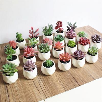 China Amazon Wholesale DIY Mini Potted Beautiful and Real Manufacturer Touch Artificial Succulent With Pot For Sale for sale