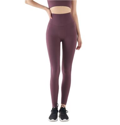 China Breathable Wholesale Seamless Sports Training Pants Fitness Leggings For Women for sale