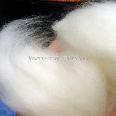 China 100% Wool Depilated Raw White Cashmere Fiber / Goat Wool Fiber for sale