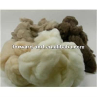 China 100% Pashmina/cashmere wool fiber, depilated cashmere fiber for sale