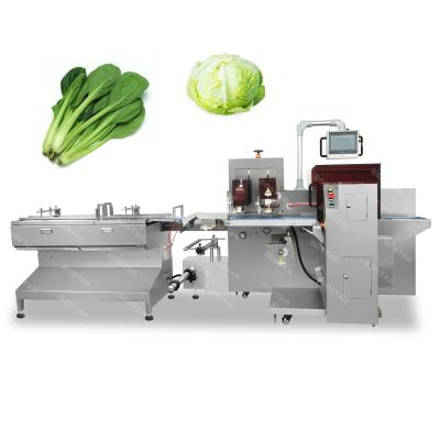 China Food Qingdao leafy vegetable lettuce packing machine bostar automatic flow wrap packing machine for sale