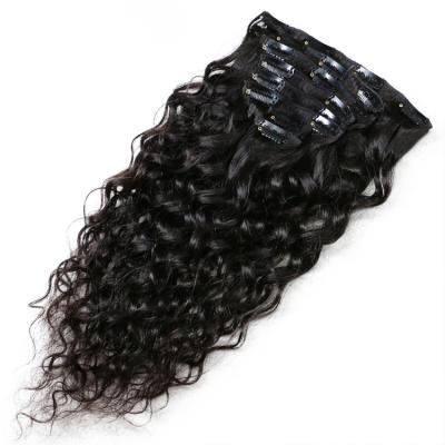 China Jet Black Curly 100% Loose Straight Hair 1 Piece Clip In Hair Extensions for sale