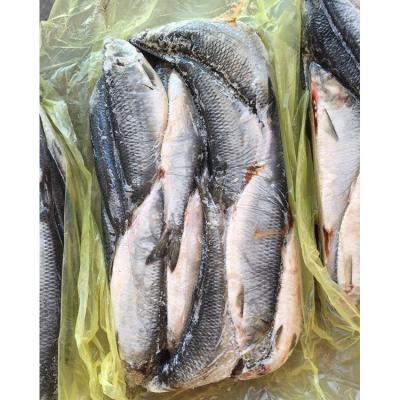 China Nutritious Hot Sale Certificated Tastes Fish Delicious Frozen Pollock for sale