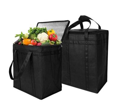 China Waterproof Custom Insulated Fresh Fruit and Vegetable Cooler Carry Bag for sale