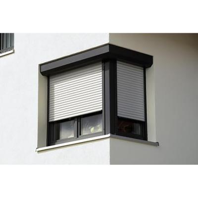 China Morden Environmental Friendly Design Easy Installed Customized Color Heat Insulated Aluminum Window Auto Shutter for sale