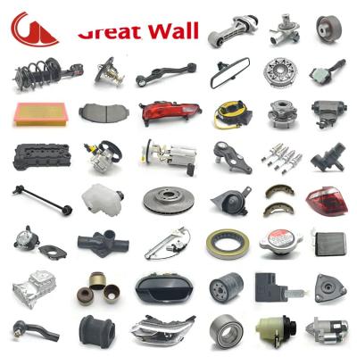 China Great Wall Parts Wholesaler for GWM Auto Parts Wingle 3/5/6 Hover H3/H5 Automobile watering can motor H5 for sale