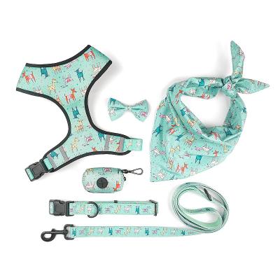 China Viable Manufacturer Wholesale Custom Polyester no pull dog leash collar and harness set for sale