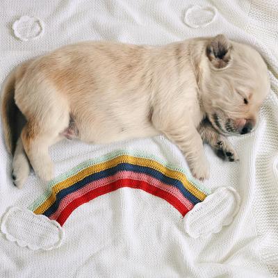 China Factory Customized Wearable Baby Wearable Cotton Yarn Factory Customized Soft Organic Knitted Rainbow Dog Printed White Throw Blanket for sale