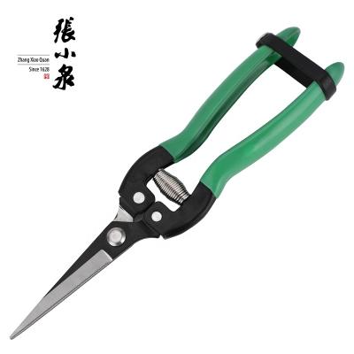 China Profesional Anti-Slip Gardener Handle Titanium Scissors Garden Grafting Scissors Pruning Scissors Garden for sale