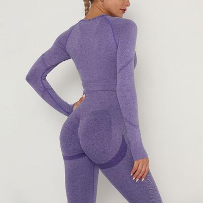 China Sales Fashion Breathable Yoga Suit Long Sleeve Sports Running Tight Sports Fitness Breathable Seamless Tops for sale