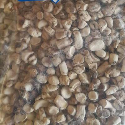 China Air Dry Dried Dehydrated Shiitake Mushroom Stem 8*10 Mm Pellets for sale