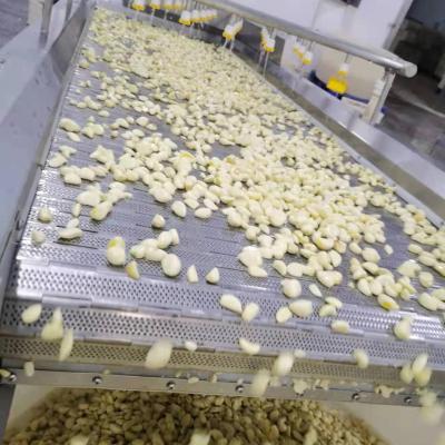 China ORGANIC garlic from the IQF factory of the 10 years FROZEN for sale