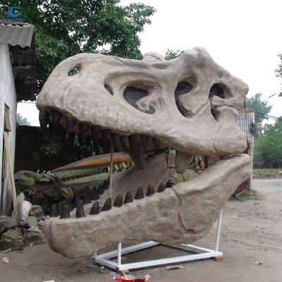 China Dinopark DS03 Museum Exhibit Life Size Dinosaur T-rex Skeleton Fossil for sale