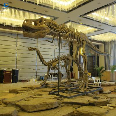 China Dinopark DS02 Real Life Size Artificial Dinosaur Skeleton Fossil For Sale for sale