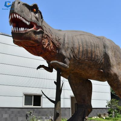 China AD24 Museum Dinosaur Theme Park Simulation Robotic Animatronic Dinosaur T-rex for sale