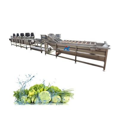 China Industrial Vegetable Snack Plant Leafy Vegetable Washer Machine for sale