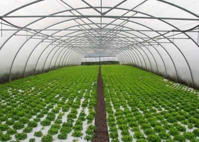 China Small Area Single Tunnel Greenhouse Easy Install For Nursery / Flower Farming for sale