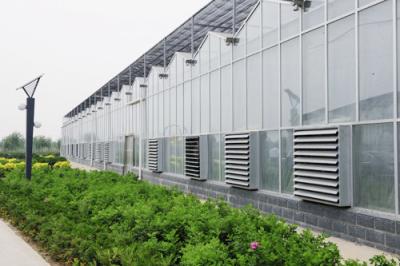 Chine Type agricole serre chaude, serre chaude stable de Venlo de feuille de polycarbonate de structure à vendre