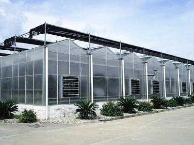 China Venlo Type PC Sheet Greenhouse Aluminium Alloy Roof Top Height 4.5m-8.0m for sale