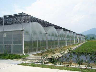 China Weglaufende Verbindungs-Polycarbonats-Platten-Gewächshaus, dauerhaftes kuppelförmiges Gewächshaus zu verkaufen