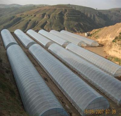 China Espaço 0.8-1.2M da montagem do feixe da estufa do túnel da agricultura único/da estufa quadro frio à venda