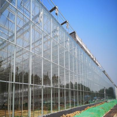 China Anchura de cristal comercial 9,6/10,8/el 12m del palmo de la forma de Venlo del invernadero del palmo de Mulit en venta