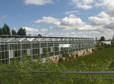 China Landbouw het Glasserre van het waterbewijs, Diy-de Goede Lichte Overbrenging van de Tomatenserre Te koop