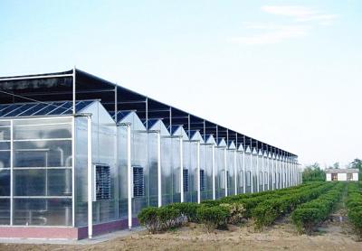 China Large Aluminium Polycarbonate Greenhouse Gutter Height 3.0-6.0m Easy Assemble for sale