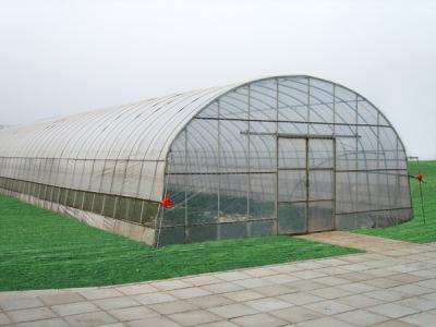 China Traditional Polycarbonate Tunnel Greenhouse Snow Load 0.45KN/M2 Rainfall 90mm/H for sale