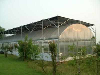 China Vegetable Single Span Greenhouse , Gothic Arch Greenhouse Low Thermal Conductivity for sale