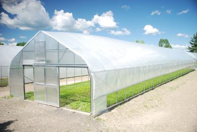 China Commercial Plastic Tunnel Greenhouse , High Tunnel Greenhouse Easy Assemble for sale