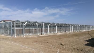 China Alta transmisión ligera del invernadero de cristal comercial anti del viento para el cultivo vegetal en venta