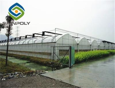 China Anti Drip 150mic  8m Tomato Plastic Film Greenhouse for sale