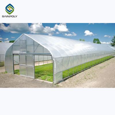 China Galvanized Steel Single Span PE Film Greenhouses For Agriculture for sale