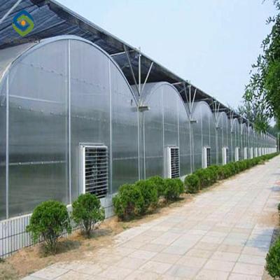 Китай парник пяди 12m Multi с Hydroponic растущими системами продается