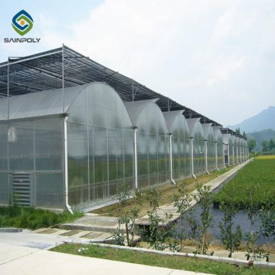 China Het multi van de serresainpoly van spanwijdtepc polycarbonaat van de serreinvernadero landbouw andere serres Te koop