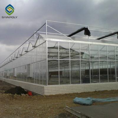 Chine Plantation agricole d'envergure de serre chaude en aluminium multi de polycarbonate à vendre